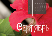 Календарь "Цветущее"-Сентябрь'21