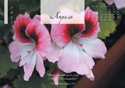 Календарь "Цветы Земли"-Апрель'21