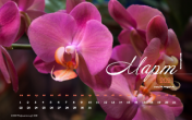 Календарь "Мартовский сад. Орхидея нюдовый фаленопсис №1". Март 2021