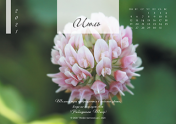 Календарь "Цветы Земли"-Июль'21