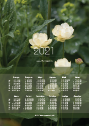 Календарь "Купальница/Trollius" 2021