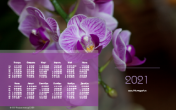 Календарь "Орхидея доритаенопсис (Dtps.) Sogo Vivien" 2021