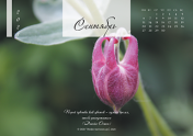 Календарь "Цветы Земли"-Сентябрь'21