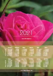 Календарь "Роза №2" 2021