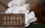 Календарь "Орхидея белый фаленопсис №2" 2021