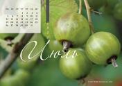 Календарь "Зеленое"-Июль'21