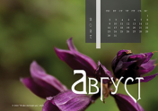 Календарь "Цветущее"-Август'21