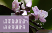 Календарь "Орхидея лавандовый фаленопсис" 2021