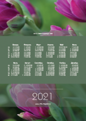 Календарь "Тюльпаны" 2021