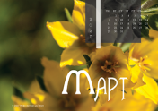 Календарь "Цветущее"-Март'21