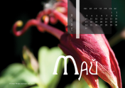 Календарь "Цветущее"-Май'21