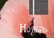 Календарь "Цветущее"-Ноябрь'21