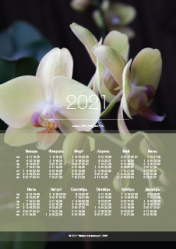 Календарь "Орхидея лимонный фаленопсис №2" 2021