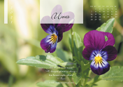 Календарь "Цветы Земли"-Июнь'21