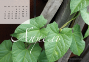 Календарь "Зеленое"-Апрель'21