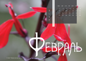 Календарь "Цветущее"-Февраль'21