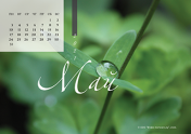 Календарь "Зеленое"-Май'21