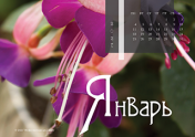 Календарь "Цветущее"-Январь'21