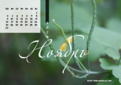 Календарь "Зеленое"-Ноябрь'20
