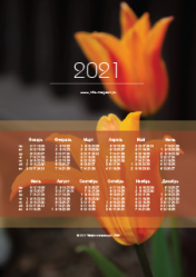 Календарь "Тюльпан лилиецветный Баллерина" 2021