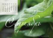 Календарь "Зеленое"-Сентябрь'21