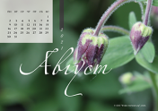 Календарь "Зеленое"-Август'21