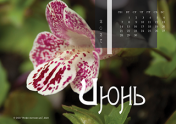 Календарь "Цветущее"-Июнь'21
