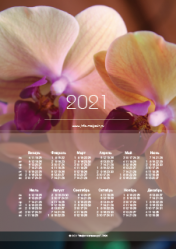 Календарь "Орхидея лососевый фаленопсис" 2021