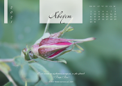 Календарь "Цветы Земли"-Август'21
