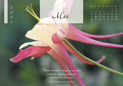 Календарь "Цветы Земли"-Май'21