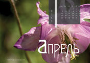 Календарь "Цветущее"-Апрель'21