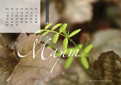 Календарь "Зеленое"-Март'21